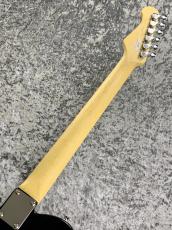 FUJIGEN Basic Classic Series BCTE100RBD-BK ~Black~ #D240043【3.22kg】_7