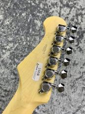 FUJIGEN Basic Classic Series BCTE100RBD-BK ~Black~ #D240043【3.22kg】_8