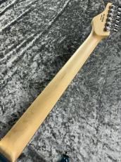 SCHECTER Oriental Line OL-BH -DBL- _9