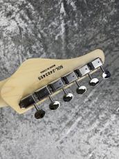 SCHECTER (シェクター)OL-TE-2H-FXD/M Butterscotch #SOL-2403455 -3.49kg-_8