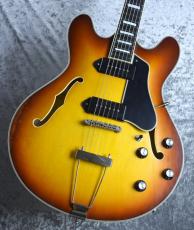 Eastman T-64VT  《Golden Burst》S/N P2300440【2.61kg】_3