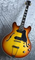 Eastman T-64VT  《Golden Burst》S/N P2300440【2.61kg】_4