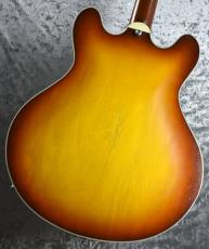 Eastman T-64VT  《Golden Burst》S/N P2300440【2.61kg】_5