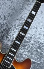 Eastman T-64VT  《Golden Burst》S/N P2300440【2.61kg】_8