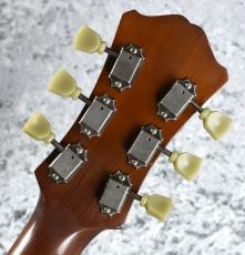 Eastman T-64VT  《Golden Burst》S/N P2300440【2.61kg】_9