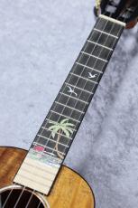 Leho LHUT-ASAK-LMT 【テナーサイズ】【アカシア単板】【初心者応援キャンペーン】_6