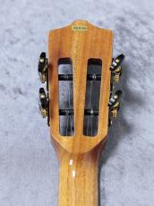 Leho LHUT-ASAK-LMT 【テナーサイズ】【アカシア単板】【初心者応援キャンペーン】_9