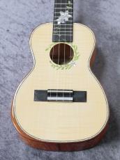 Leho LHUC-ASMP-LMT 【コンサートサイズ】【メイプル単板】【初心者応援キャンペーン】