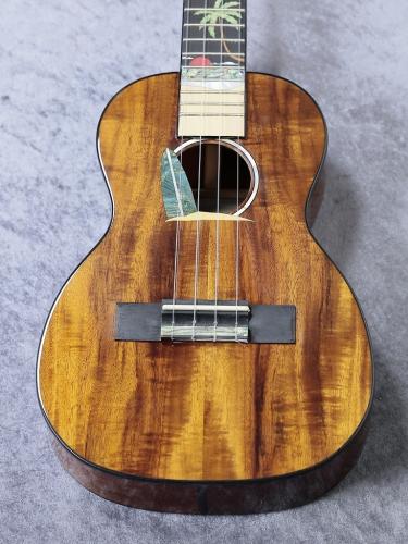 Leho LHUC-ASAK-LMT 【コンサートサイズ】【アカシア単板】【初心者応援キャンペーン】