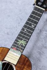 Leho LHUC-ASAK-LMT 【コンサートサイズ】【アカシア単板】【初心者応援キャンペーン】_6