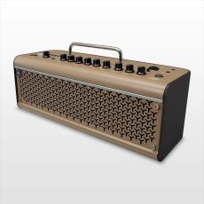 YAMAHA THR30ⅡA Wireless + YAMAHA YW10T set