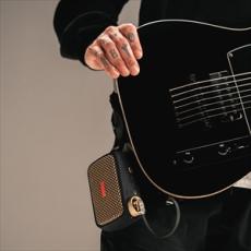 Positive Grid Spark Go_3