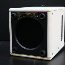 Positive Grid Spark MINI Pearl_4