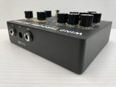 Paul Reed Smith [PRS] Wind Though The Trees  -Dual Analog Flanger-_3