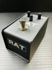 Pro Co LIL' RAT_2