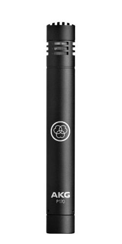 AKG P170