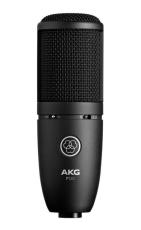 AKG P120
