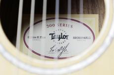 Taylor 【待望の入荷!/ 新商品】212ce-N Plus_10