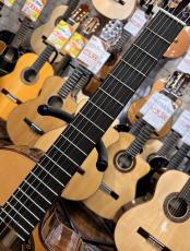 Jose Ramirez [ホセ・ラミレス] Estudio 140 CWE S #123【エレガット】_7