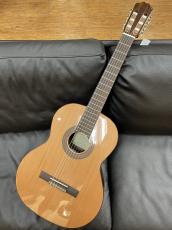 Orpheus Valley Guitars F65C_3