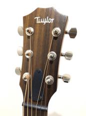 Taylor GT Urban Ash_3