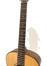 Taylor GT Urban Ash_4