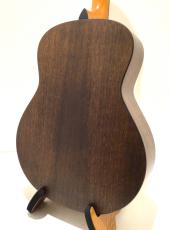 Taylor GT Urban Ash_5