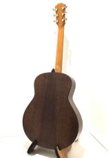 Taylor GT Urban Ash_6