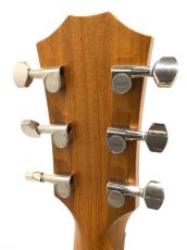 Taylor GT Urban Ash_7