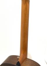 Taylor GT Urban Ash_8