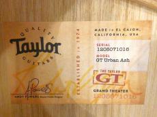 Taylor GT Urban Ash_9