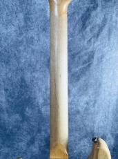 Navigator N-ST SGZ Custom -FZ- SUGIZO_6