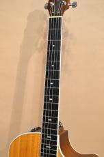 Taylor 414ce ES1　2013年製_6