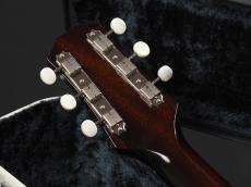 KING SNAKE Rockin' Chair w/P.U. ~Tobacco Sunburst~_10