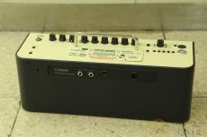 YAMAHA THR30II Wireless + Line6 Relay G10TII [VK095]_2