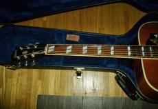 Gibson Hummingbird  '14_2