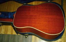 Gibson Hummingbird  '14_3