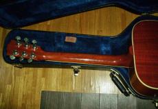 Gibson Hummingbird  '14_4