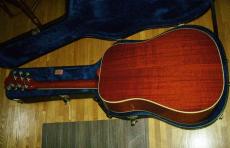 Gibson Hummingbird  '14_8