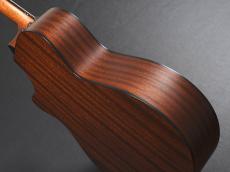 Taylor 312ce V-Class_11