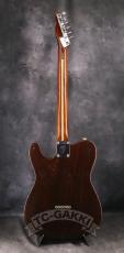 Fender 1970 Rosewood Telecaster_9