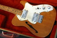 Fender Telecaster Thinline NAT/M '73_2