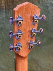 Stafford Modern Series SFM-1【PU搭載】_6