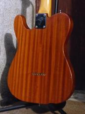Fender Japan '04-06 TN70 '70 Telecaster Thinline_4
