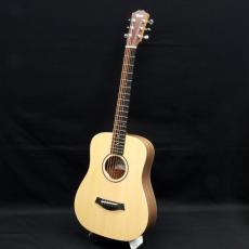 Taylor BT1e_2
