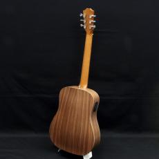 Taylor BT1e_3