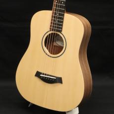Taylor BT1e_4