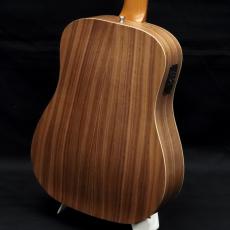 Taylor BT1e_5