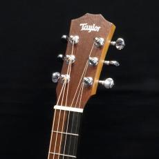 Taylor BT1e_6