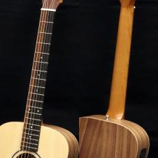 Taylor BT1e_8